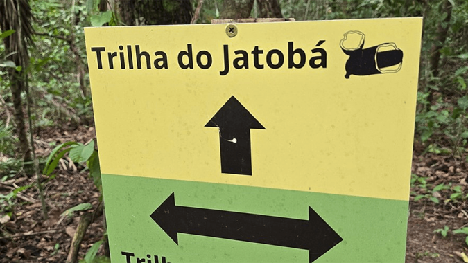 Trilhas guiadas cruzando dois biomas e diferentes formações florestais!