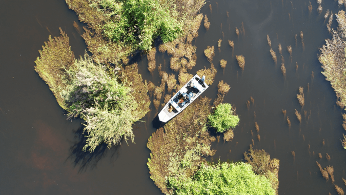 Trilhas aquáticas adentrando os igapós, florestas alagadas típicas da Amazônia!