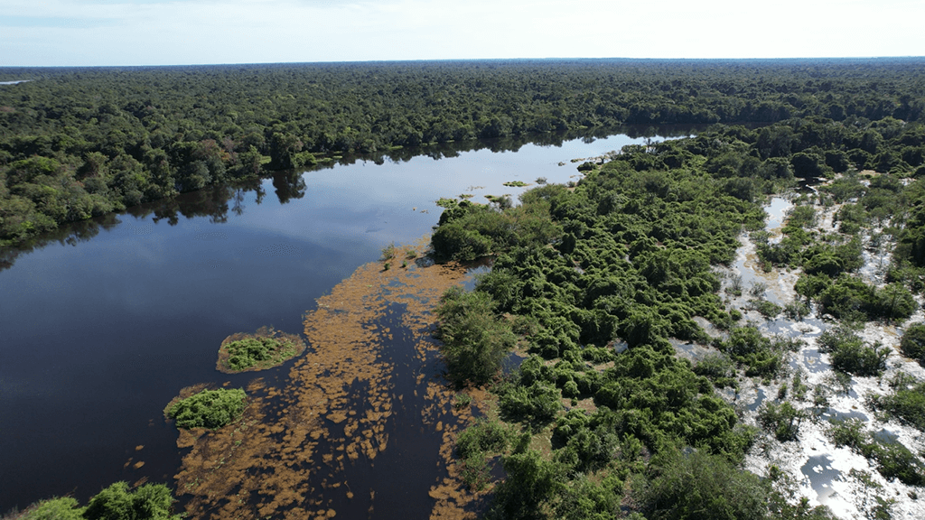 A floresta Amazônica mais próxima e acessível! A floresta Amazônica mais próxima e acessível!