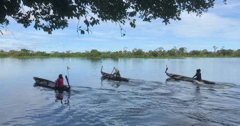 Canoas de madeira no Cantão: tradição, matéria-prima e cultura