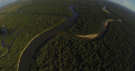 Cantão, o encontro de três biomas: Amazônia, Cerrado e Pantanal! Isso faz sentido?