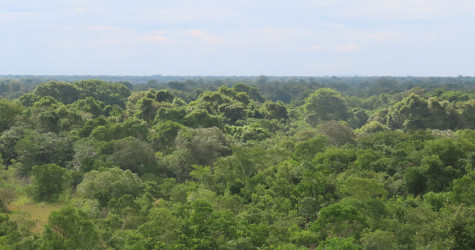Conheça os maiores biomas do Brasil em um só lugar