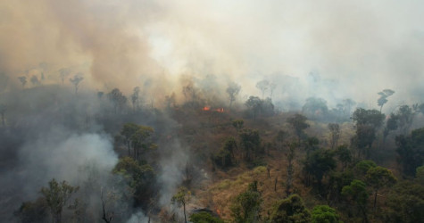 Fogo criminoso ameaça a vida e o equilíbrio no Cantão