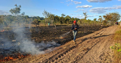 Protegendo o Cantão com Manejo Integrado do Fogo