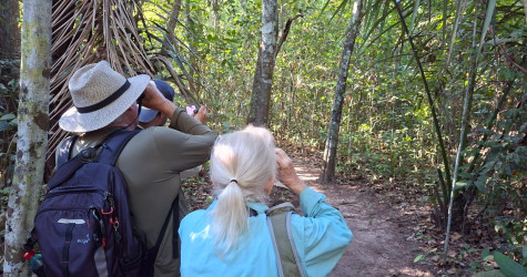 Ecoturismo de observação de aves e a região do Cantão: uma dupla que combina muito!