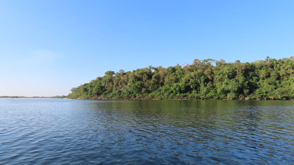 Margem do Rio Araguaia com mata ciliar preservada no Cantão Margem do Rio Araguaia com mata ciliar preservada no Cantão