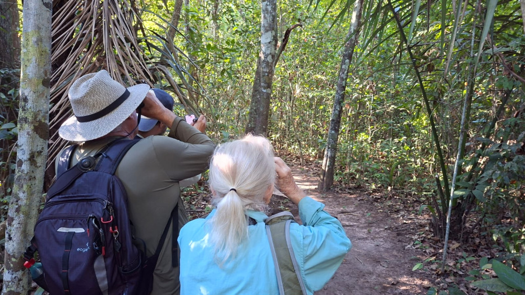 Ecoturismo de observação de aves e a região do Cantão: uma dupla que combina muito!