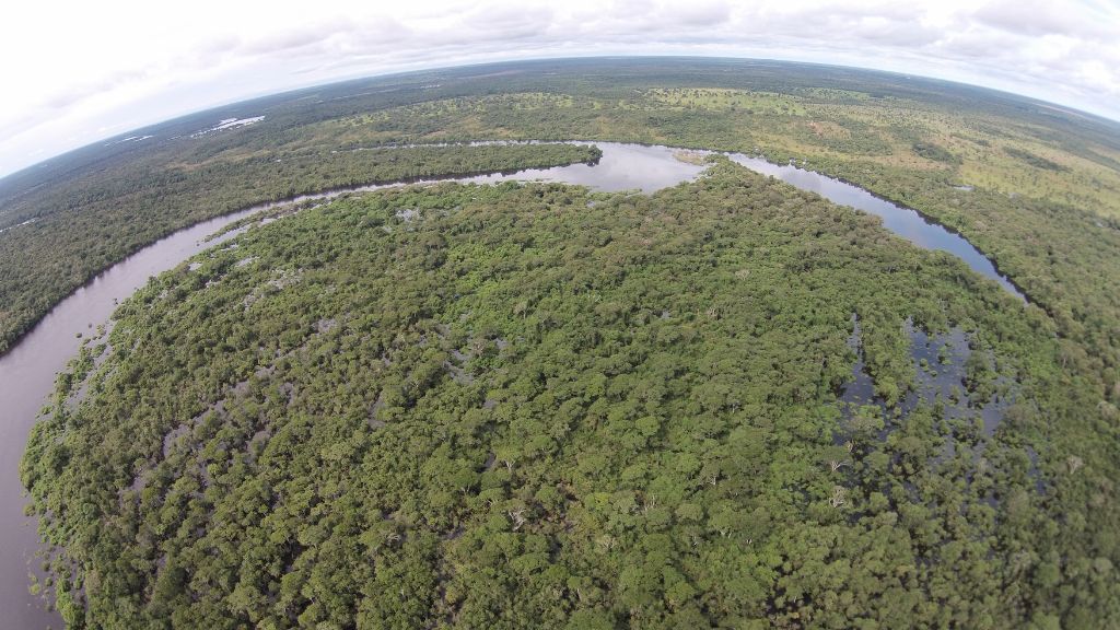 Quando a caranha encontra o tucum