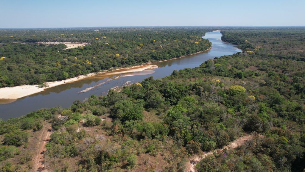 Quando a caranha encontra o tucum