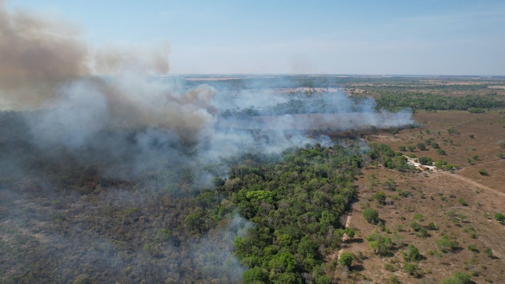 Fogo criminoso ameaça a vida no Cantão