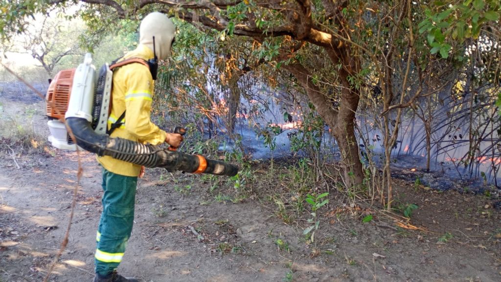 Projeto Restaura Cantão