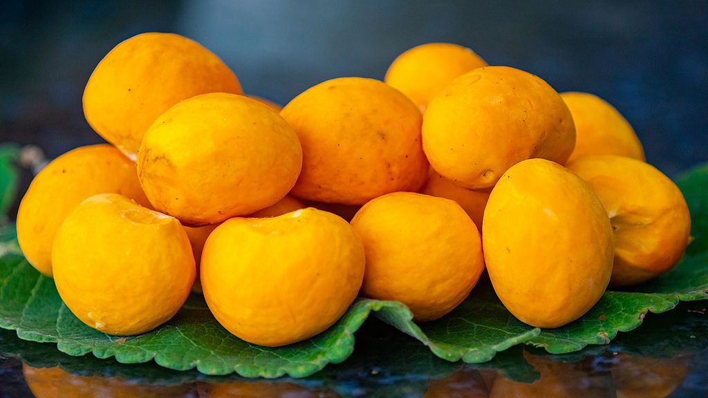 Sabores típicos do Cantão