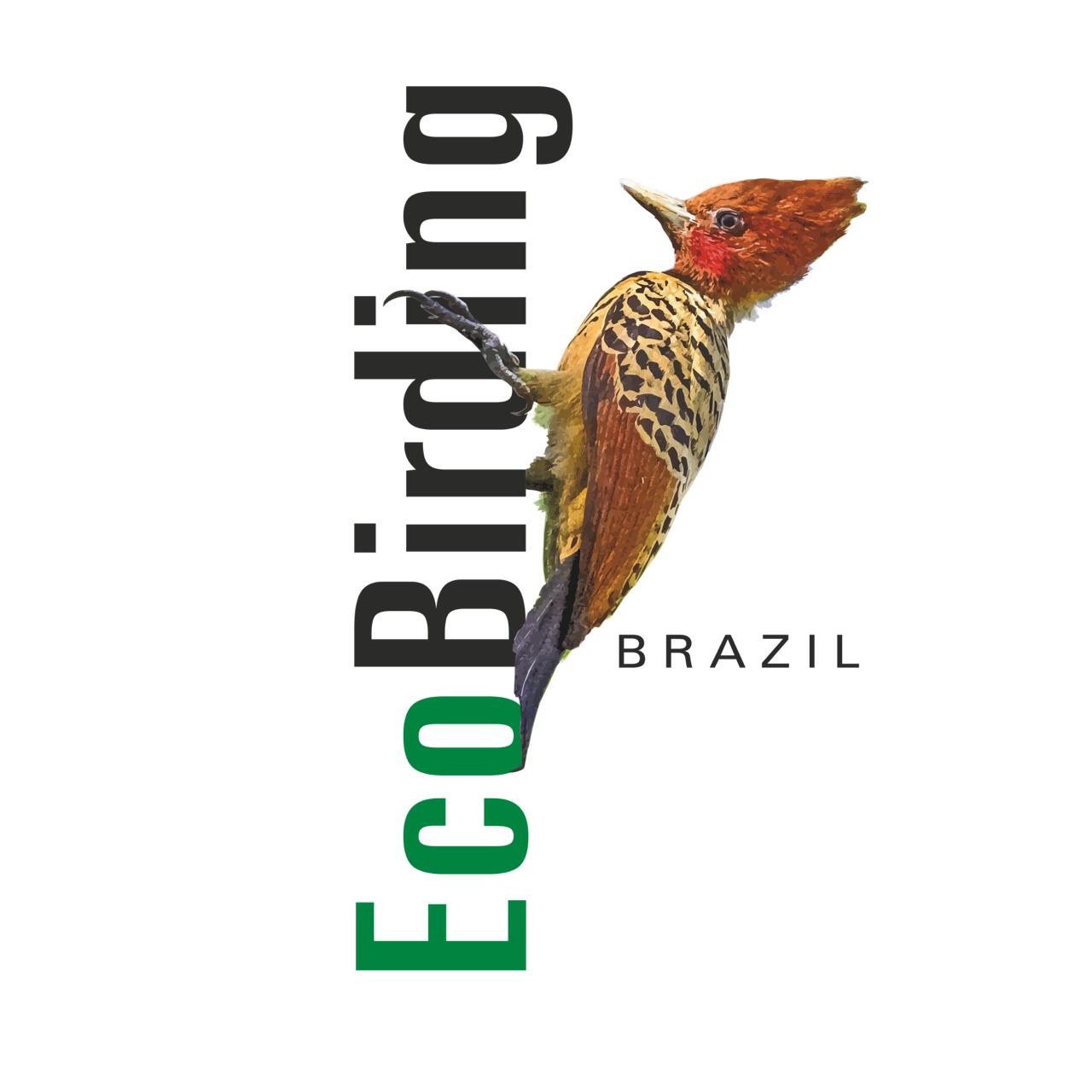 EcoBirding Brazil